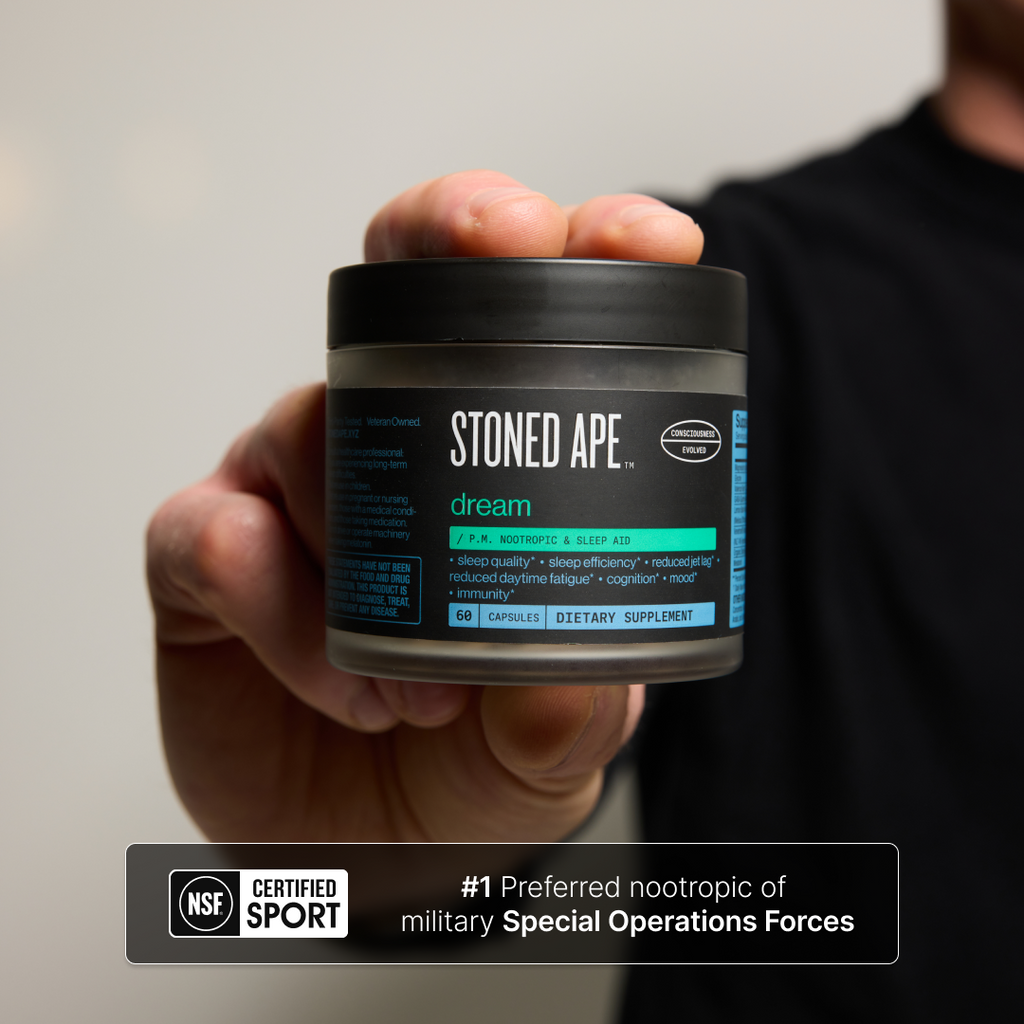 Dream: P.M. Nootropic & Sleep Aid for Recovery